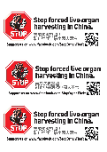 (2012年11月07日) 张贴设计：莫成沉默帮凶　制止中共活摘中国人器官