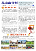 (2013年01月29日) 真相传单：元宝山特刊（第六三期） 