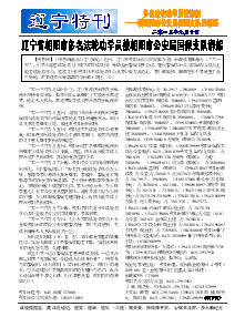 真相传单：辽宁特刊（2013年9月10日）