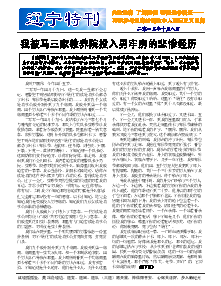 真相传单：辽宁特刊（2013年10月8日）