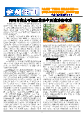 (2013年10月29日) 真相传单：泸州特刊（2013年10月29日）
