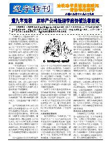 真相传单：辽宁特刊（2013年11月29日）