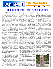 真相传单：阜阳特刊（2013年12月8日）