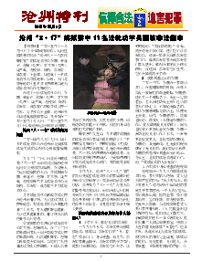 真相传单：沧州特刊（2015年11月4日）