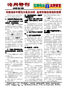 真相传单：沧州特刊（2015年12月15日）