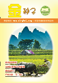 (2016年09月04日) 明慧期刊：金种子（第十期）