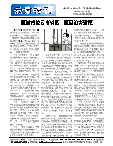 真相传单：云南特刊（2019年3月28日）