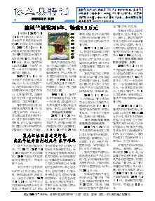 真相传单：依兰县特刊（2019年5月11日）