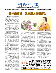 明慧周报：保定版（第八零六期） 