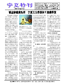 真相传单：宁夏特刊  （2019年5月29日）