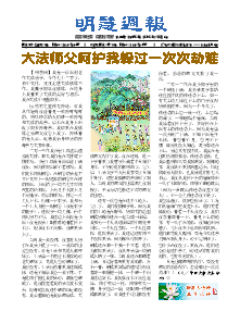 明慧周报：保定版（第八二五期） 